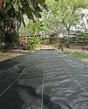 polypropylene ground cover