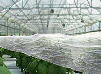 frost blanket